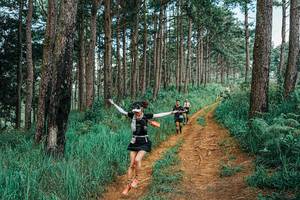 BIB: 
                            <button type="button" onclick="openModal(25741298)" class="btn btn-primary btn-sm float-right btn-popup" data-toggle="modal" data-target=".modal-high-quality">
                        <i class="fas fa-shopping-cart"></i> Add to Cart
                    </button>
                                            <button type="button" onclick="isThisMe(25741298, true)" class="btn btn-success btn-sm float-right btn-popup btn-isme hidden" data-toggle="tooltip" data-placement="bottom" title="นี่คือรูปของคุณใช่ไหม คลิกที่นี่เพื่อเอาเข้าอัลบั้ม">
                        <i class="fas fa-plus"></i> Add to album
                    </button>
                    <button type="button" onclick="isThisMe(25741298, false)" class="btn btn-warning btn-sm float-right btn-popup btn-isnotme hidden">
                        <i class="fas fa-ban"></i> Remove from album
                    </button>